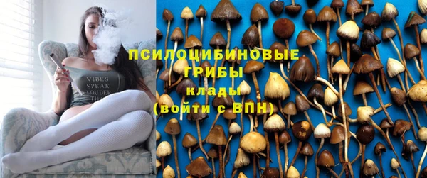 альфа пвп Вяземский