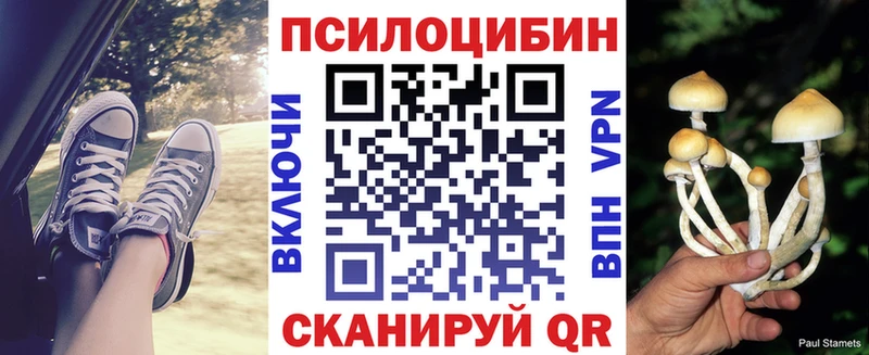 Купить закладки  Бакал  Псилоцибиновые грибы прущие грибы 